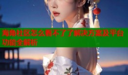海角社区怎么看不了了解决方案及平台功能全解析