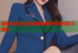 海角社区钻石用途揭秘解锁专属特权与福利