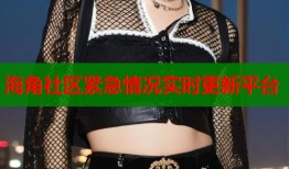 海角社区紧急情况实时更新平台