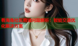 看海角社区拥堵问题解析：智能交通优化解决方案
