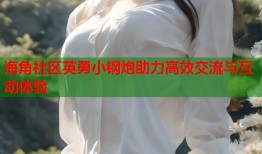 海角社区英勇小钢炮助力高效交流与互动体验