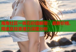 海角社区一砖石价值解密：最新价格、用途及投资潜力深度分析