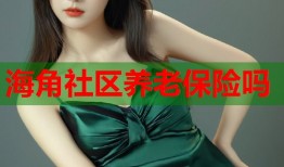 海角社区养老保险吗