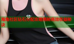 海角社区钻石分配攻略揭秘高效收益秘诀