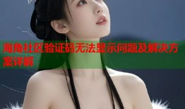 海角社区验证码无法显示问题及解决方案详解