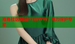 海角社区精品91WWW：电力保护专家