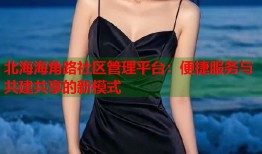 北海海角路社区管理平台：便捷服务与共建共享的新模式