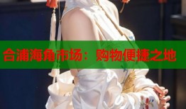 合浦海角市场：购物便捷之地