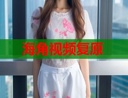 海角视频复原