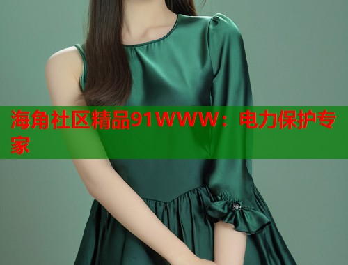 海角社区精品91WWW：电力保护专家
